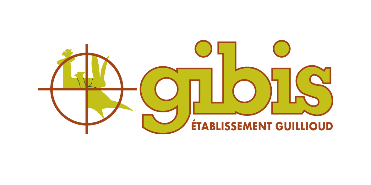 Logo GIBIS sur fond clair